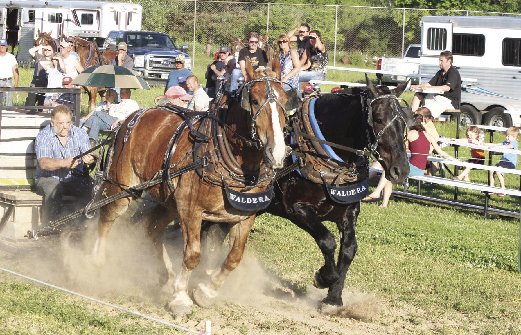 Horse pull